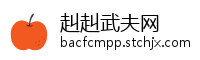 赳赳武夫网